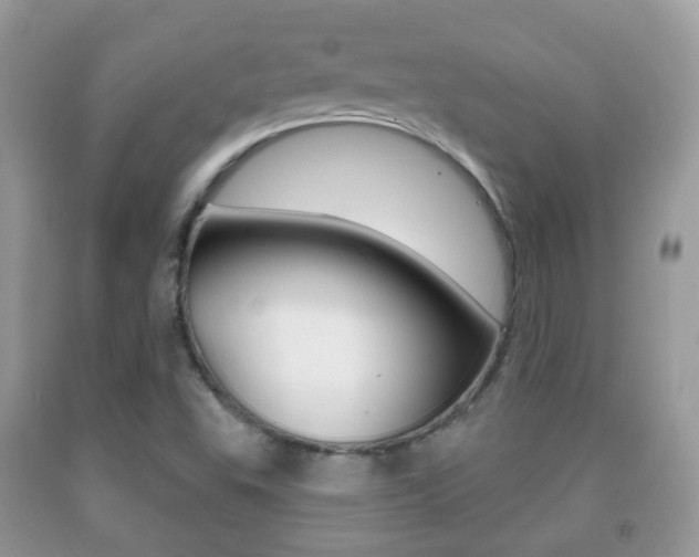 X0000091931503200709051230