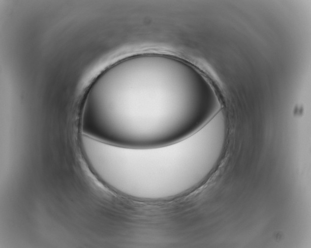 X0000091931504200709051230
