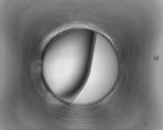 X0000091931507200709051230