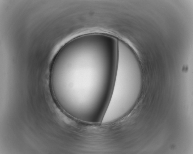 X0000091931508200709051230