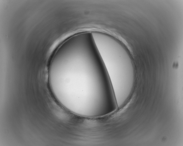 X0000091931509200709051230