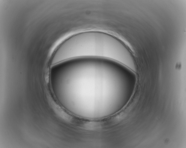 X0000091931510200709051230