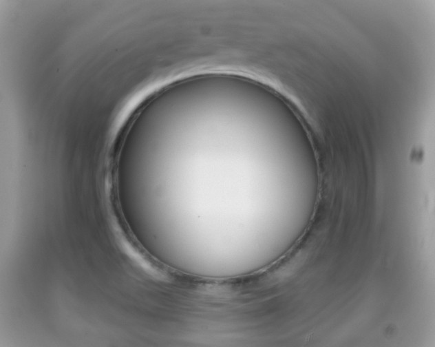 X0000091931511200709051230