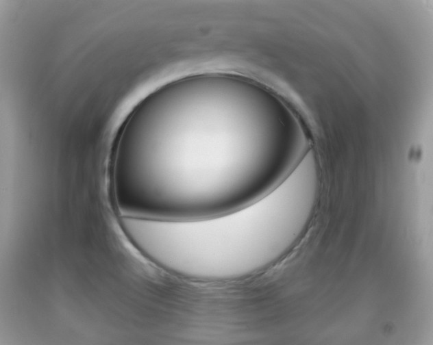 X0000091931512200709051230