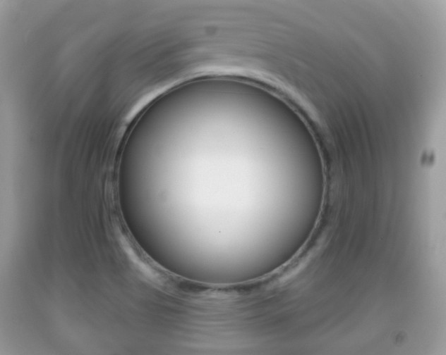 X0000091931513200709051230