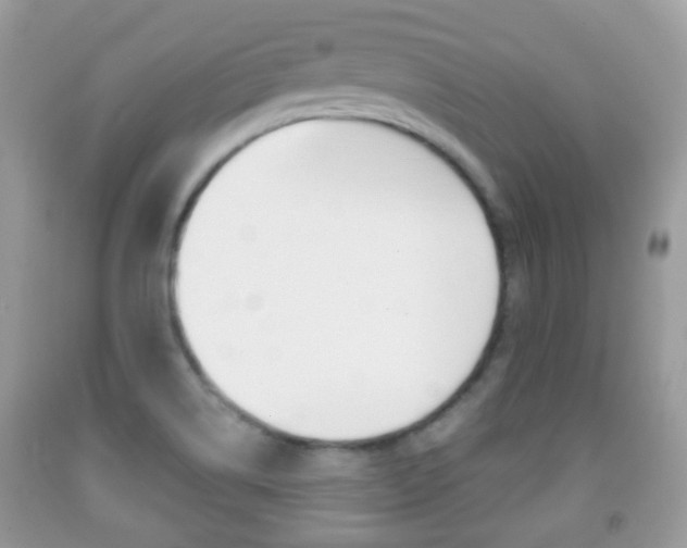 X0000091931514200709051230