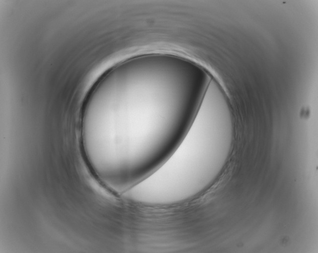X0000091931515200709051230