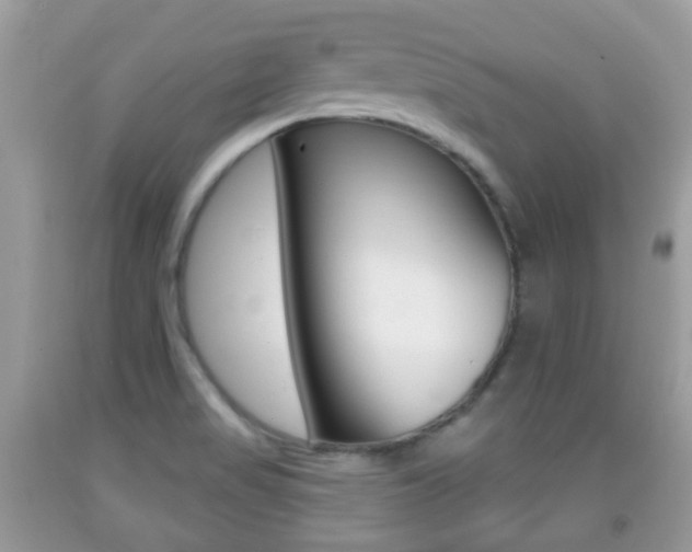 X0000091931517200709051230