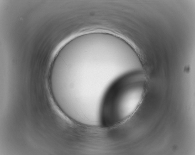 X0000091931518200709051230