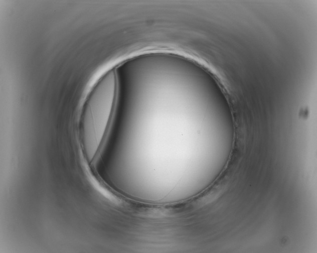 X0000091931519200709051230