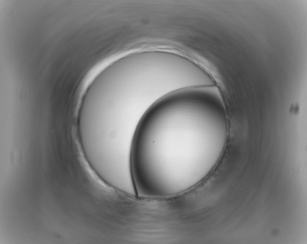 X0000091931520200709051230
