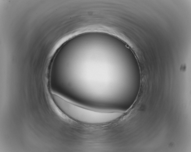 X0000091931523200709051230