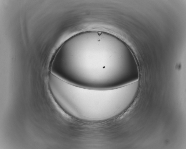 X0000091931525200709051230