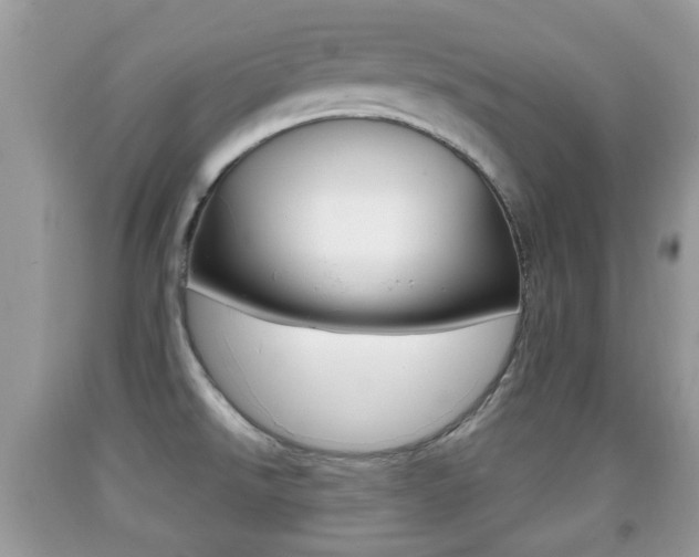 X0000091931526200709051230