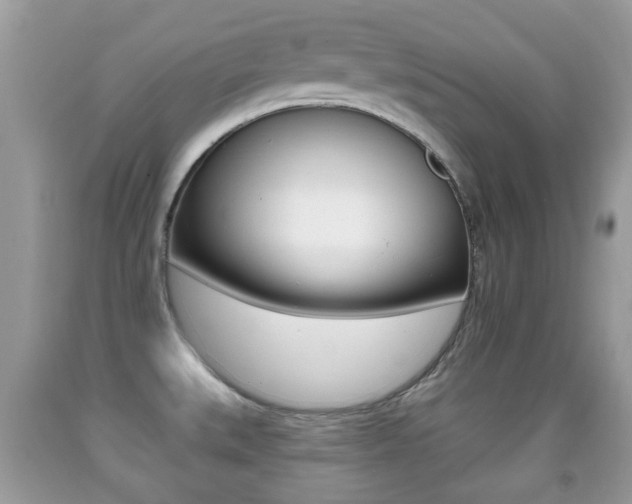 X0000091931527200709051230