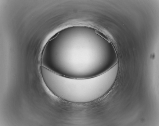 X0000091931528200709051230