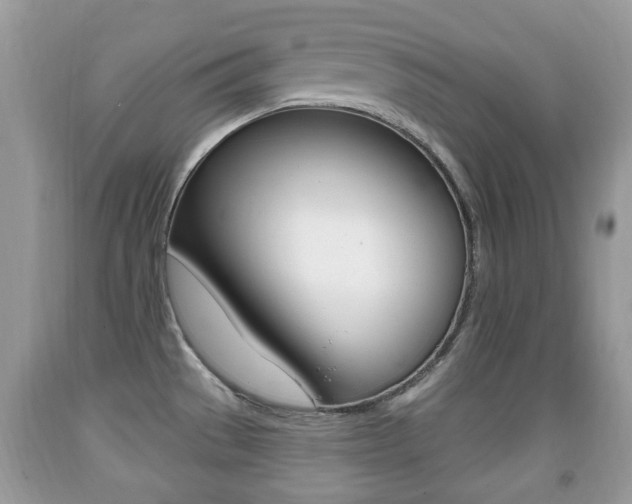 X0000091931529200709051230