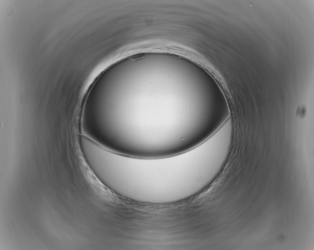 X0000091931530200709051230