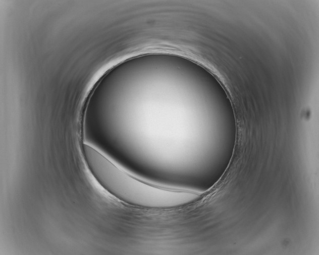 X0000091931531200709051230