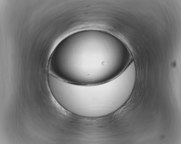 X0000091931532200709051230