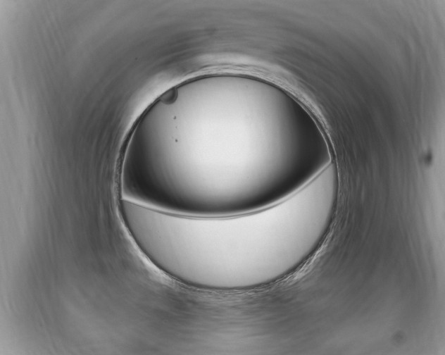 X0000091931533200709051230