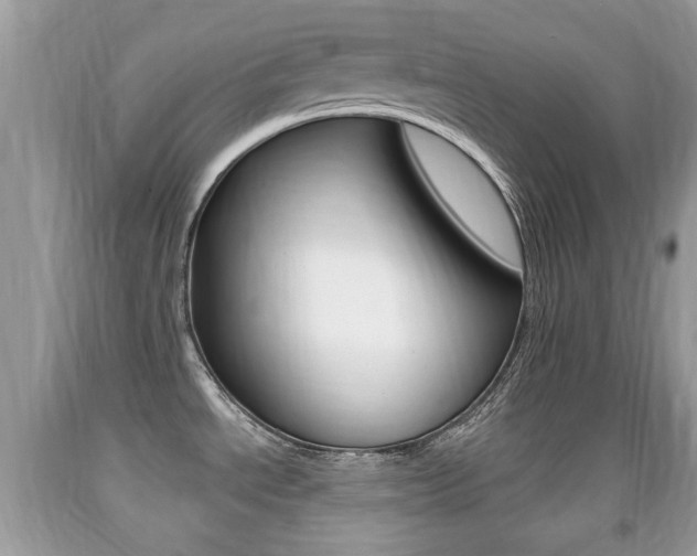 X0000091931534200709051230
