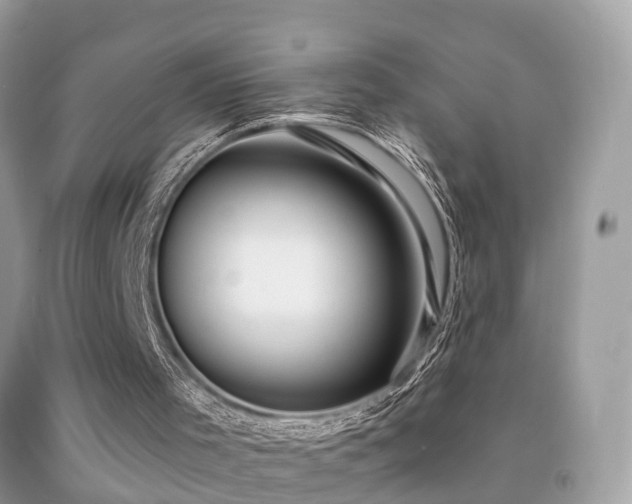 X0000091930001200709051511