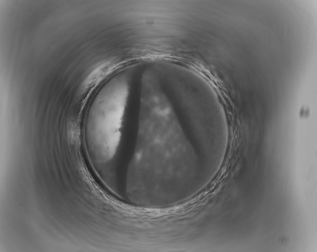 X0000091930002200709051511