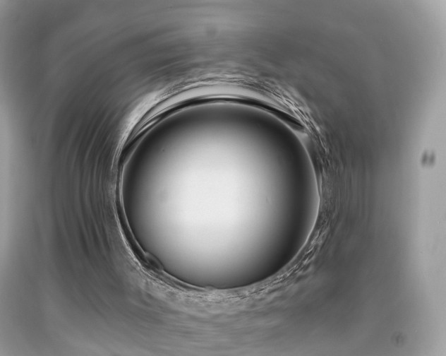 X0000091930003200709051511