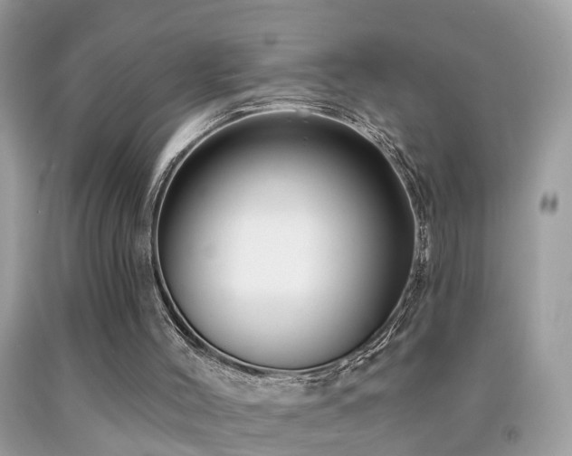 X0000091930004200709051511