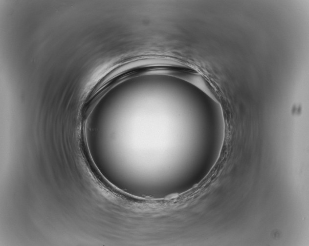 X0000091930005200709051511