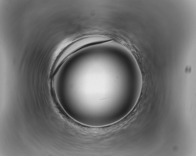 X0000091930006200709051511