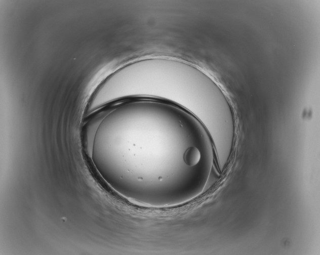 X0000091930007200709051511