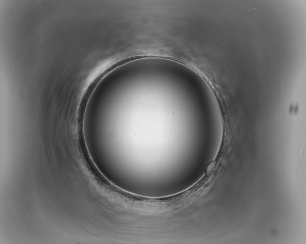 X0000091930008200709051511