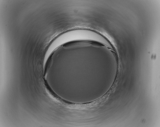 X0000091930009200709051511