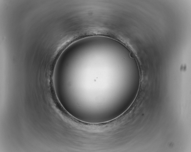X0000091930010200709051511