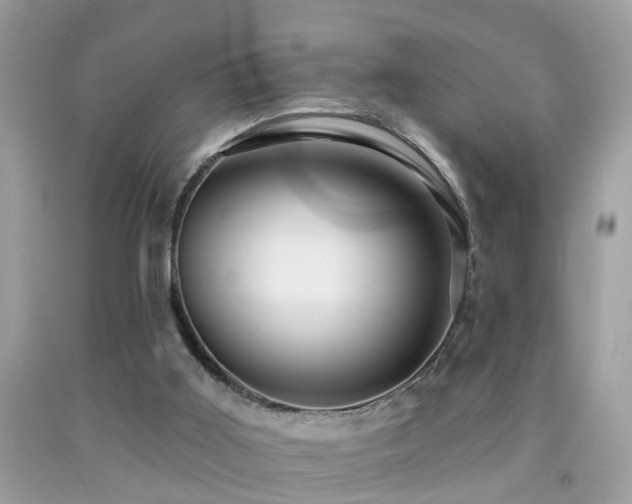 X0000091930011200709051511