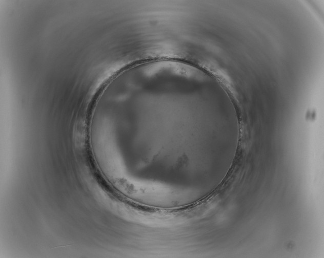 X0000091930012200709051511