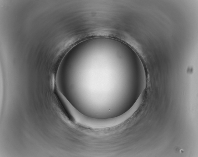 X0000091930013200709051511