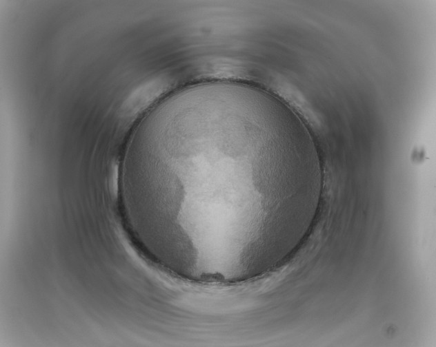 X0000091930014200709051511
