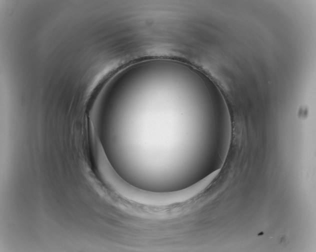 X0000091930015200709051511