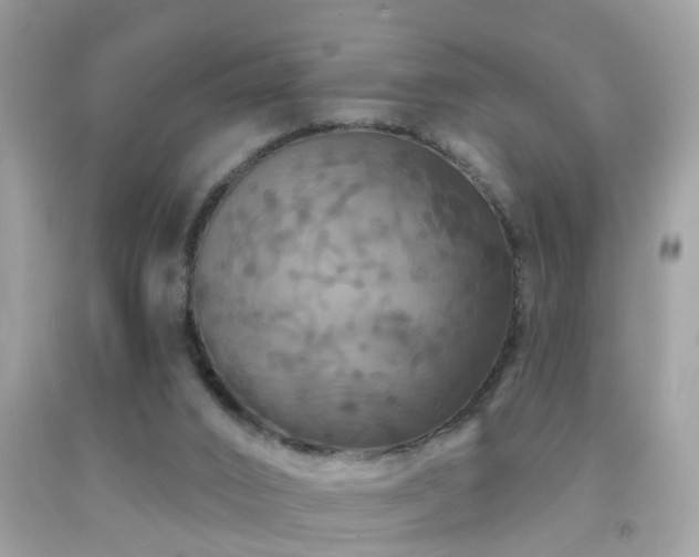 X0000091930016200709051511
