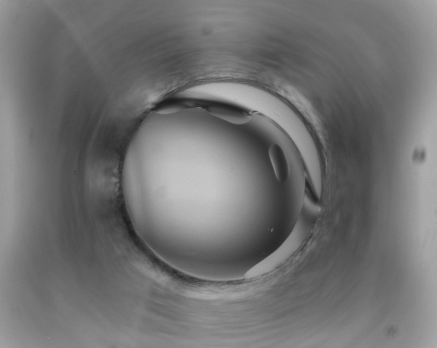 X0000091930017200709051511