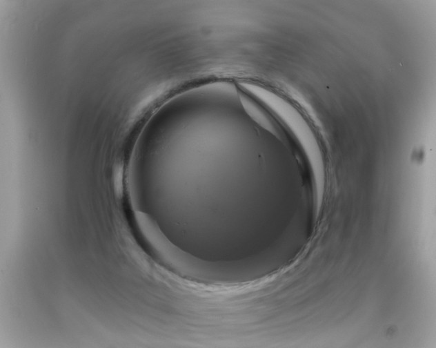 X0000091930019200709051511