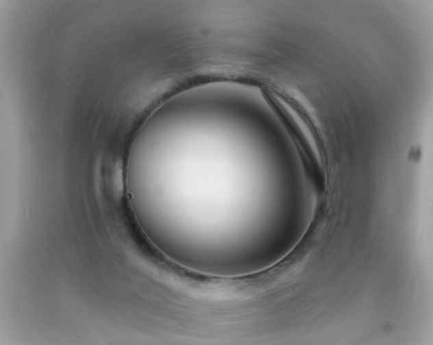 X0000091930020200709051511