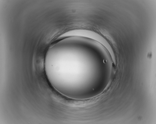 X0000091930021200709051511