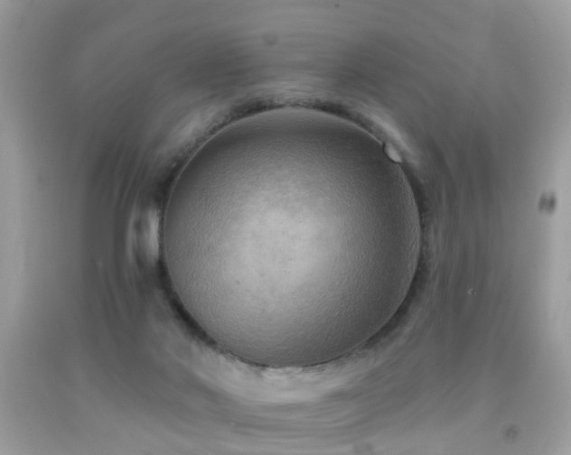 X0000091930022200709051511