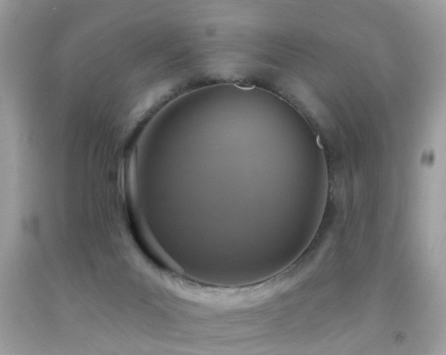 X0000091930023200709051511