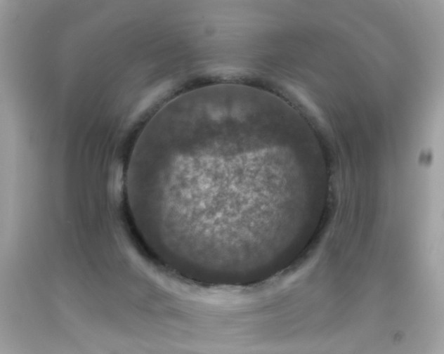 X0000091930024200709051511