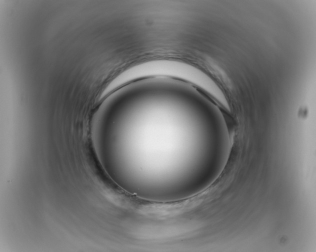 X0000091930025200709051511